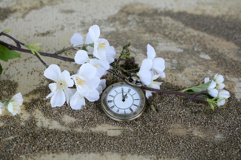 Chrono-Vector Watch